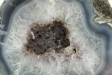 Las Choyas Coconut Geode Half with Smoky Amethyst - Mexico #373056-1